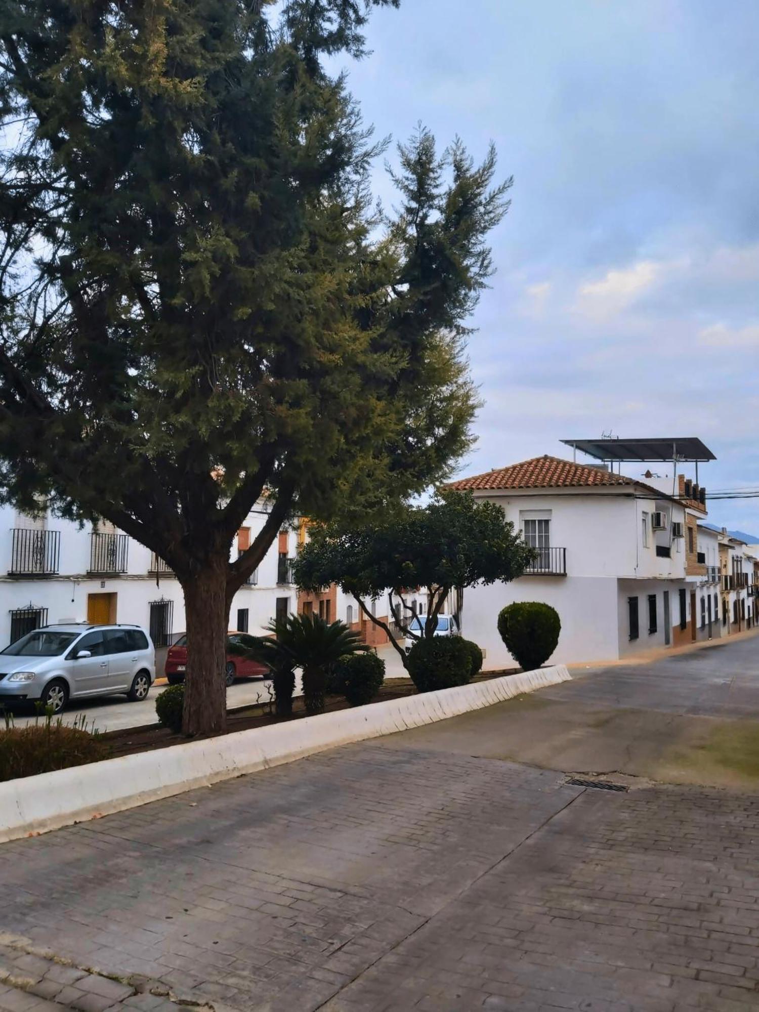 Arcadia Centro De Andalucia Vila Encinas Reales Exterior foto